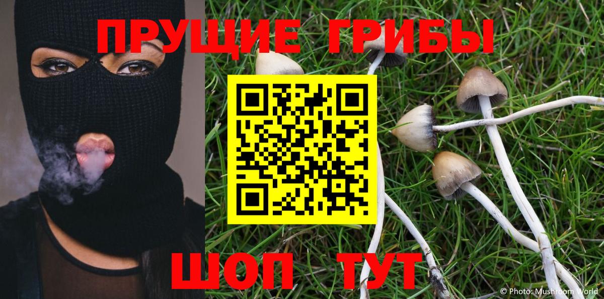 Псилоцибиновые грибы MAGIC MUSHROOMS Можга