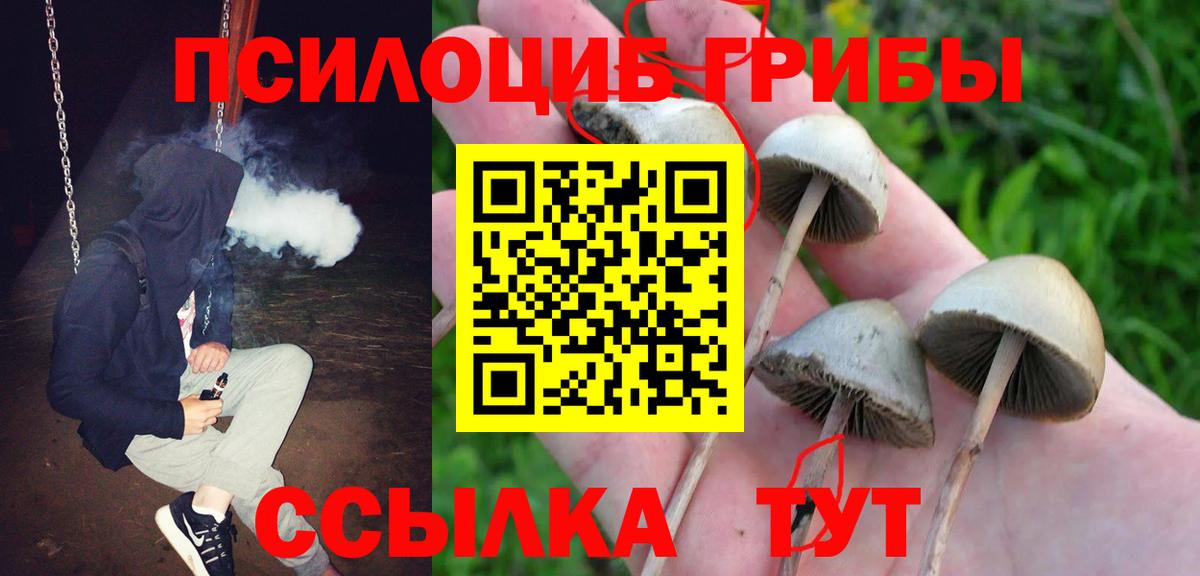 Псилоцибиновые грибы Magic Shrooms  Вход с VPN  как найти наркотики  Можга 